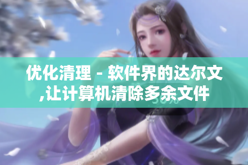 優(yōu)化清理 - 軟件界的達爾文,讓計算機清除多余文件