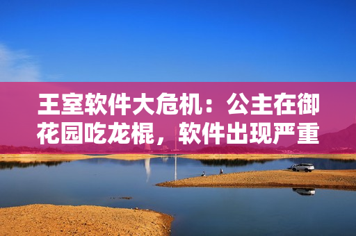 王室軟件大危機(jī)：公主在御花園吃龍棍，軟件出現(xiàn)嚴(yán)重故障！