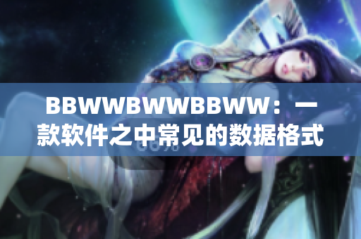 BBWWBWWBBWW：一款軟件之中常見的數(shù)據(jù)格式，你需要了解。