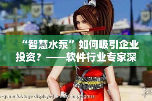 “智慧水泵”如何吸引企業(yè)投資？——軟件行業(yè)專家深度剖析