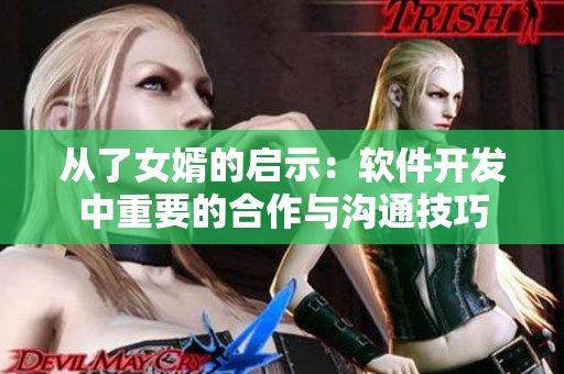從了女婿的啟示：軟件開發(fā)中重要的合作與溝通技巧