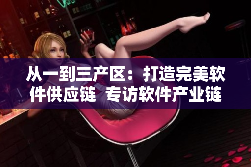 從一到三產(chǎn)區(qū)：打造完美軟件供應(yīng)鏈  專訪軟件產(chǎn)業(yè)鏈專家