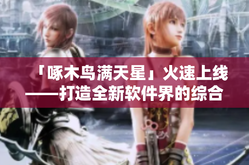 「啄木鳥(niǎo)滿天星」火速上線——打造全新軟件界的綜合解決方案