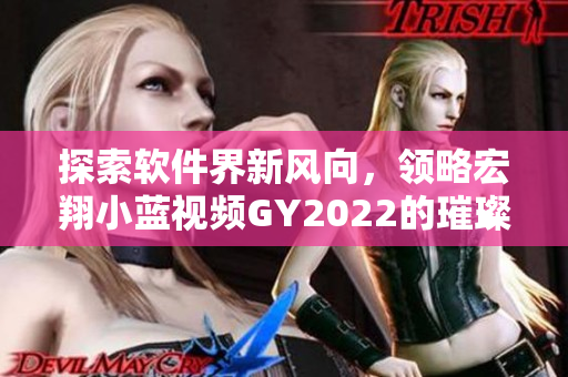 探索軟件界新風(fēng)向，領(lǐng)略宏翔小藍(lán)視頻GY2022的璀璨魅力