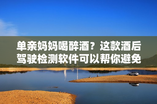 單親媽媽喝醉酒？這款酒后駕駛檢測軟件可以幫你避免危險！
