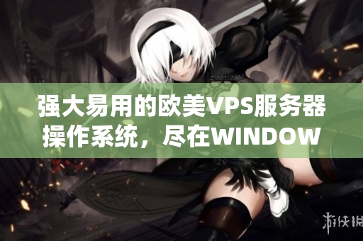 強(qiáng)大易用的歐美VPS服務(wù)器操作系統(tǒng)，盡在WINDOWS極品VPS