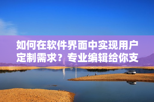 如何在軟件界面中實現(xiàn)用戶定制需求？專業(yè)編輯給你支招！
