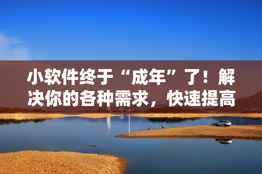 小軟件終于“成年”了！解決你的各種需求，快速提高工作效率！