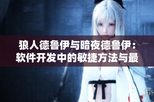 狼人德魯伊與暗夜德魯伊：軟件開(kāi)發(fā)中的敏捷方法與最佳實(shí)踐