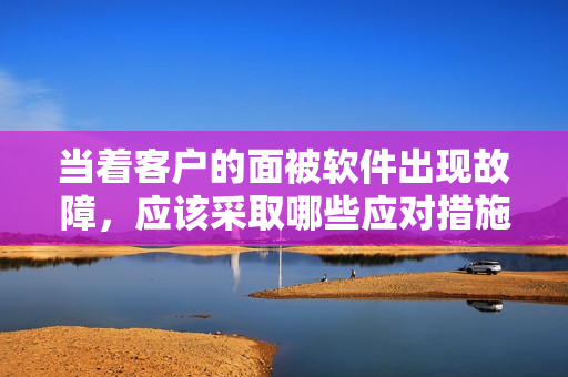 當(dāng)著客戶的面被軟件出現(xiàn)故障，應(yīng)該采取哪些應(yīng)對措施？- 一位編輯的建議