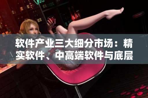 軟件產(chǎn)業(yè)三大細(xì)分市場(chǎng)：精實(shí)軟件、中高端軟件與底層軟件