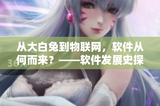 從大白兔到物聯(lián)網(wǎng)，軟件從何而來？——軟件發(fā)展史探微