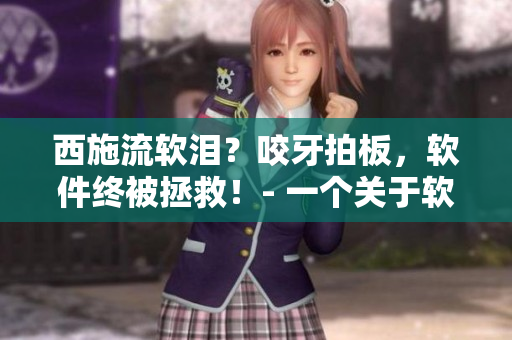 西施流軟淚？咬牙拍板，軟件終被拯救！- 一個(gè)關(guān)于軟件故障和修復(fù)的故事
