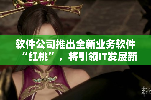 軟件公司推出全新業(yè)務(wù)軟件“紅桃”，將引領(lǐng)IT發(fā)展新潮流！