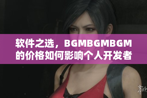 軟件之選，BGMBGMBGM的價格如何影響個人開發(fā)者的選擇