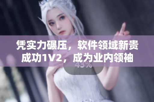 憑實(shí)力碾壓，軟件領(lǐng)域新貴成功1V2，成為業(yè)內(nèi)領(lǐng)袖