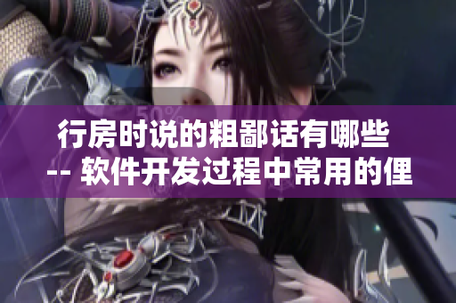 行房時說的粗鄙話有哪些 -- 軟件開發(fā)過程中常用的俚語有哪些