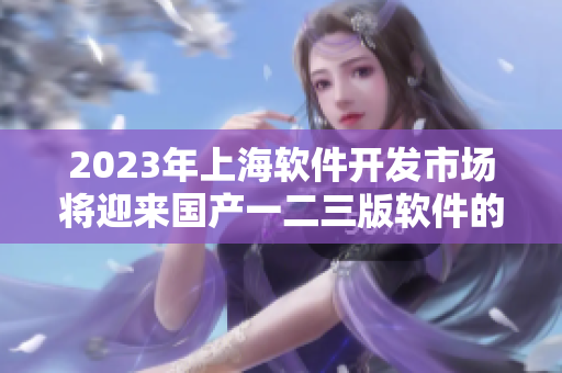 2023年上海軟件開發(fā)市場將迎來國產一二三版軟件的差異化競爭