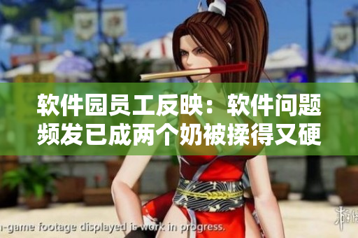 軟件園員工反映：軟件問題頻發(fā)已成兩個奶被揉得又硬又翹怎么辦？
