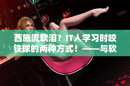 西施流軟淚？IT人學(xué)習(xí)時咬鐵球的兩種方式！——與軟件相關(guān)的學(xué)習(xí)技巧