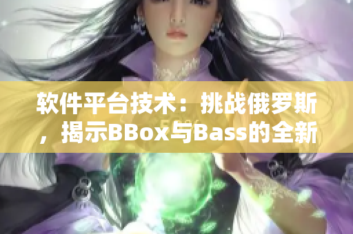 軟件平臺技術(shù)：挑戰(zhàn)俄羅斯，揭示BBox與Bass的全新對話