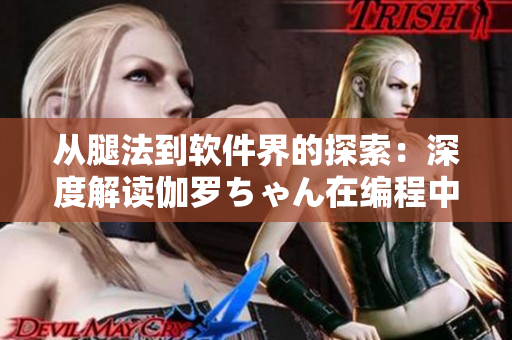 從腿法到軟件界的探索：深度解讀伽羅ちゃん在編程中的應(yīng)用之道！