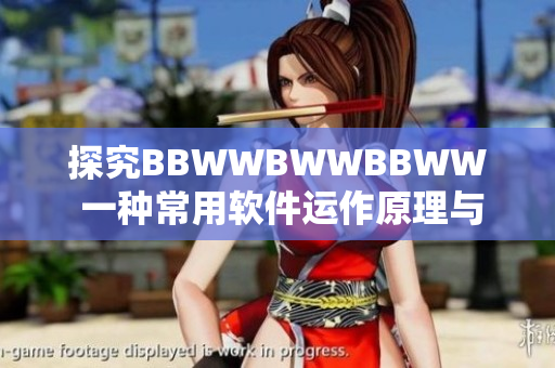 探究BBWWBWWBBWW 一種常用軟件運作原理與優(yōu)化方法