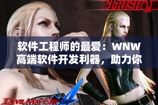 軟件工程師的最?lèi)?ài)：WNW高端軟件開(kāi)發(fā)利器，助力你的項(xiàng)目成功