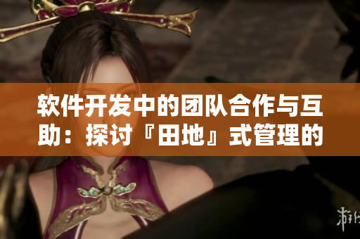 軟件開(kāi)發(fā)中的團(tuán)隊(duì)合作與互助：探討『田地』式管理的應(yīng)用