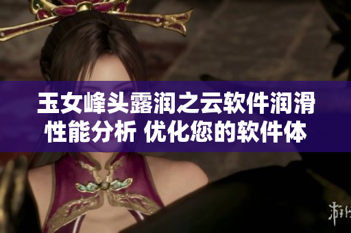 玉女峰頭露潤之云軟件潤滑性能分析 優(yōu)化您的軟件體驗，讓您暢游云端