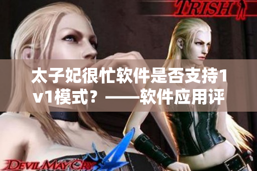 太子妃很忙軟件是否支持1v1模式？——軟件應用評測