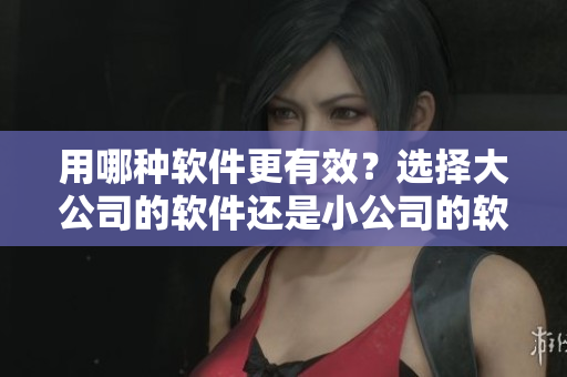 用哪種軟件更有效？選擇大公司的軟件還是小公司的軟件？