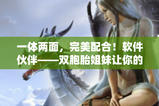一體兩面，完美配合！軟件伙伴——雙胞胎姐妹讓你的工作更高效！