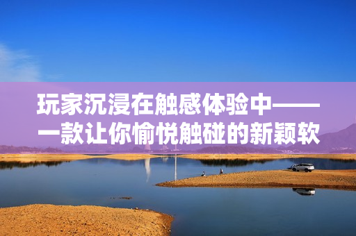 玩家沉浸在觸感體驗(yàn)中——一款讓你愉悅觸碰的新穎軟件
