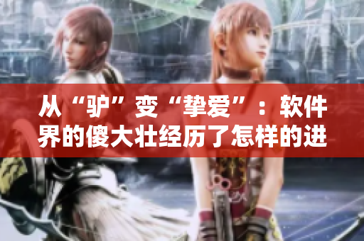 從“驢”變“摯愛”：軟件界的傻大壯經歷了怎樣的進化