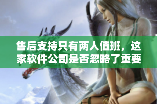 售后支持只有兩人值班，這家軟件公司是否忽略了重要性？