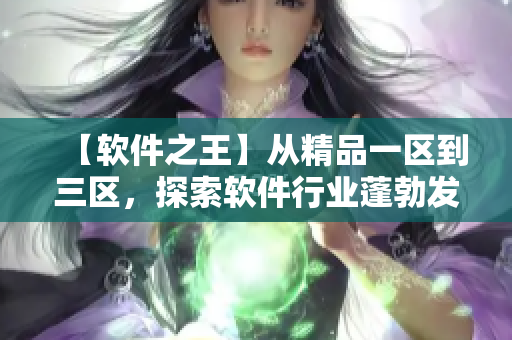 【軟件之王】從精品一區(qū)到三區(qū)，探索軟件行業(yè)蓬勃發(fā)展之路