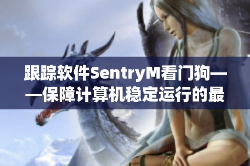 跟蹤軟件SentryM看門狗——保障計算機(jī)穩(wěn)定運行的最佳選擇