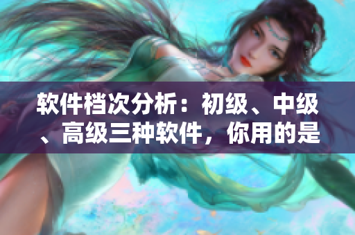 軟件檔次分析：初級(jí)、中級(jí)、高級(jí)三種軟件，你用的是哪一種？