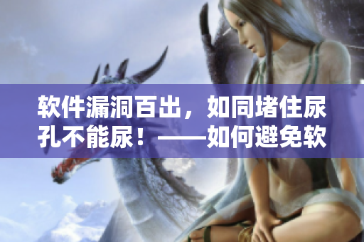 軟件漏洞百出，如同堵住尿孔不能尿！——如何避免軟件漏洞的影響