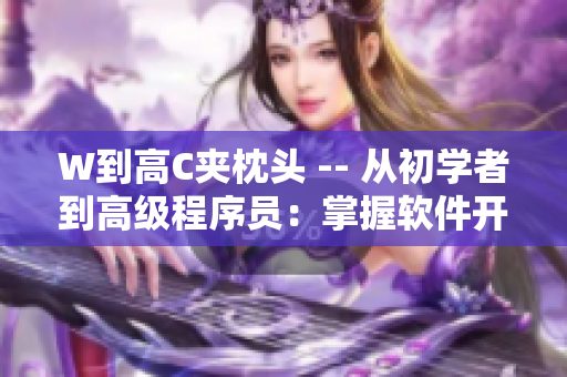 W到高C夾枕頭 -- 從初學(xué)者到高級程序員：掌握軟件開發(fā)的必備技能