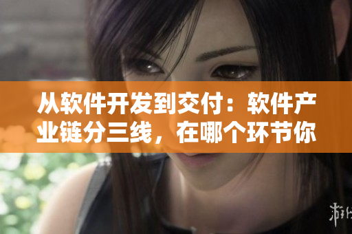 從軟件開發(fā)到交付：軟件產(chǎn)業(yè)鏈分三線，在哪個環(huán)節(jié)你更有價值？