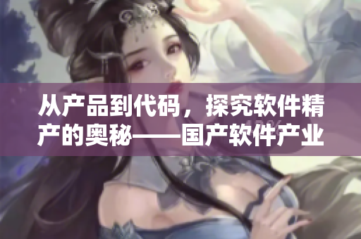 從產(chǎn)品到代碼，探究軟件精產(chǎn)的奧秘——國產(chǎn)軟件產(chǎn)業(yè)分析