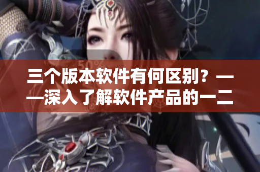 三個版本軟件有何區(qū)別？——深入了解軟件產(chǎn)品的一二三區(qū)