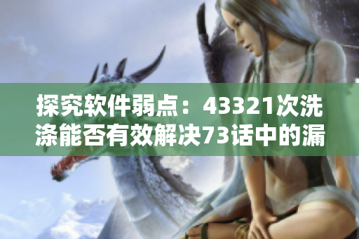 探究軟件弱點(diǎn)：43321次洗滌能否有效解決73話中的漏洞？