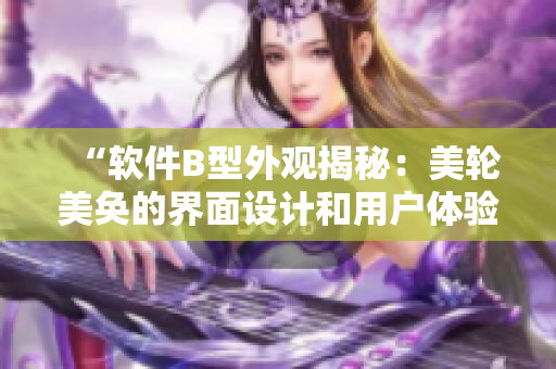 “軟件B型外觀揭秘：美輪美奐的界面設(shè)計和用戶體驗”
