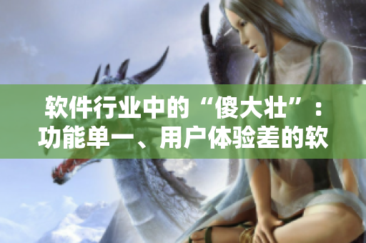 軟件行業(yè)中的“傻大壯”：功能單一、用戶體驗差的軟件存在問題