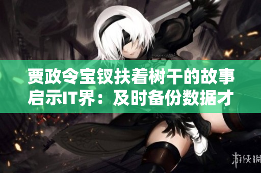 賈政令寶釵扶著樹(shù)干的故事啟示IT界：及時(shí)備份數(shù)據(jù)才能防止損失