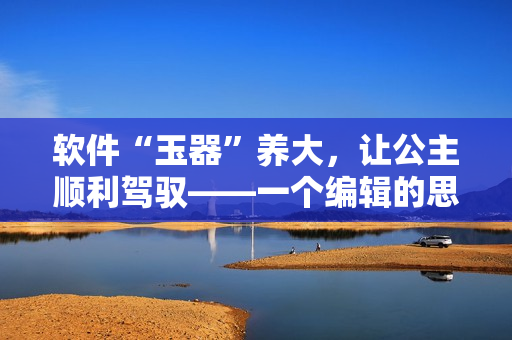 軟件“玉器”養(yǎng)大，讓公主順利駕馭——一個(gè)編輯的思考與分享