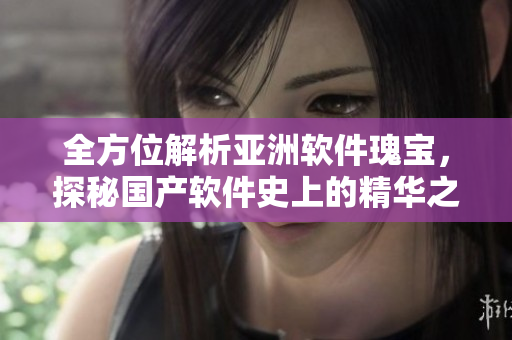 全方位解析亞洲軟件瑰寶，探秘國產(chǎn)軟件史上的精華之作